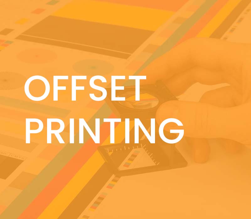 Brand Identity Design